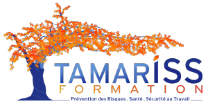 Tamariss Formation